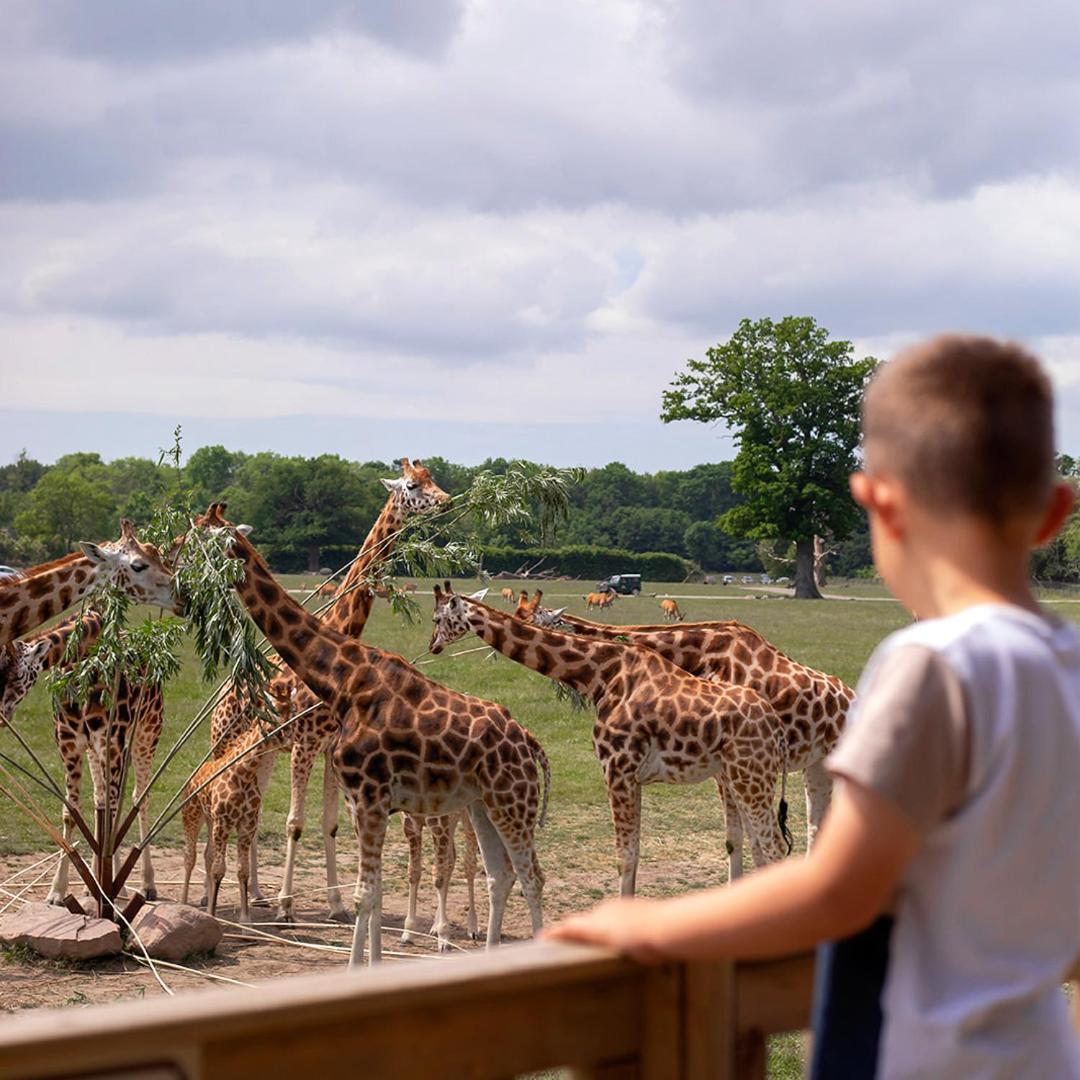 Hotel Knuthenborg Safaripark Maribo Exterior foto
