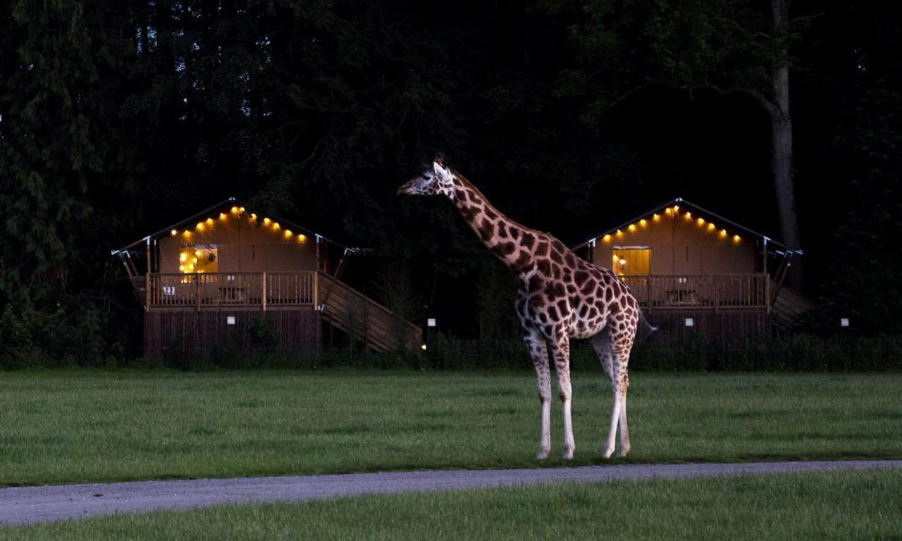 Hotel Knuthenborg Safaripark Maribo Exterior foto